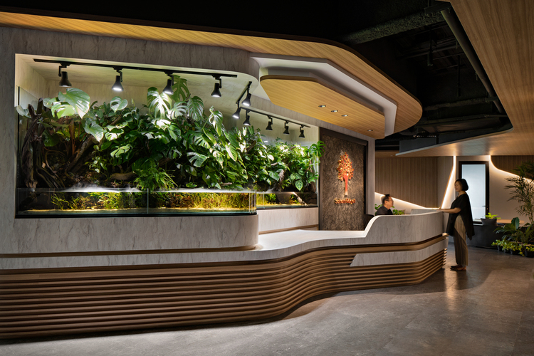 biljke-u-dizajnu-kancelarijskog-prostora-10 