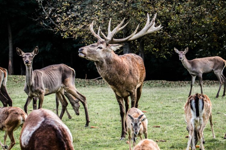 zima-koja-se-pamti-po-zajednickim-trenucima-2 