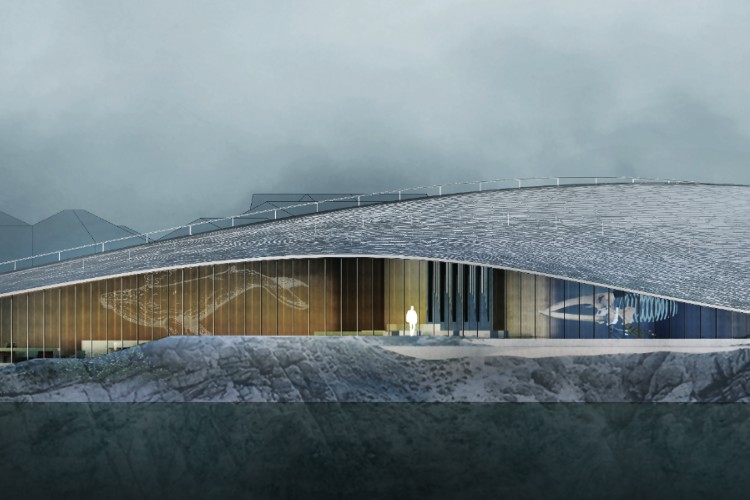the-whale-norveska-dorte-mandrup-muzej-kitova-4 