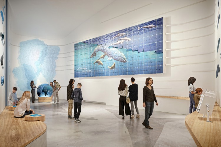 the-whale-norveska-dorte-mandrup-muzej-kitova-16 