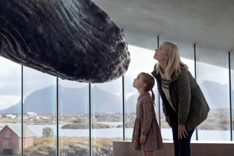 the-whale-norveska-dorte-mandrup-muzej-kitova-14 