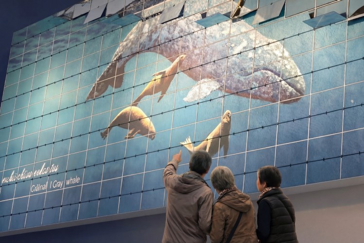 the-whale-norveska-dorte-mandrup-muzej-kitova-12 