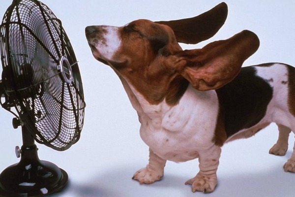 5 načina za rashlađivanje bez klima uređaja