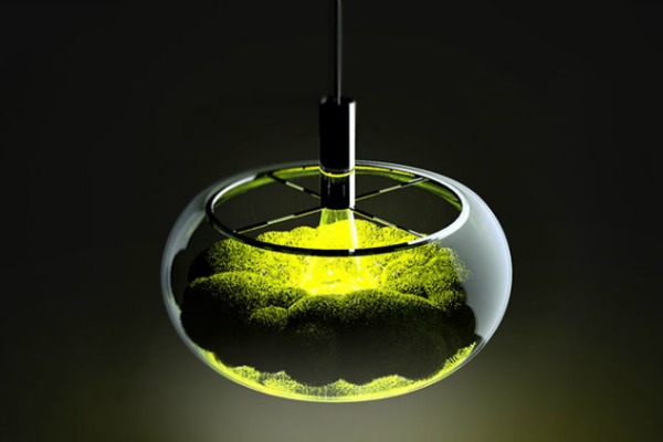 Lampa srpskog dizajnera - Mosslamp