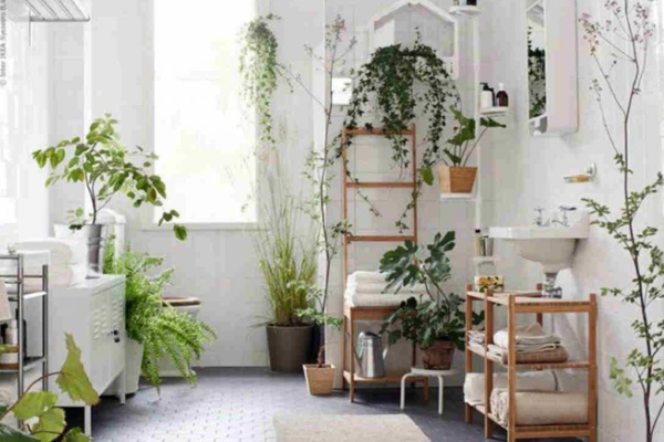 Idealne biljke za vaše kupatilo