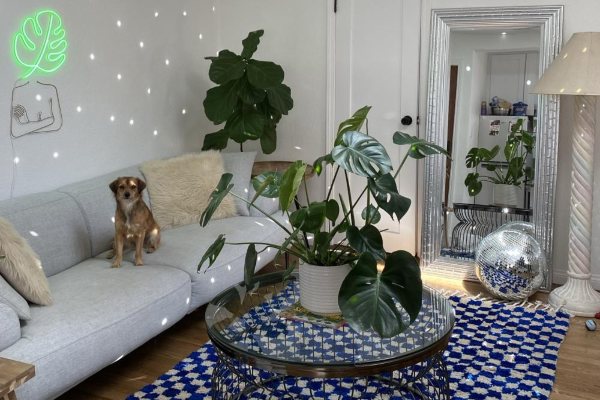 8 dekorativnih saveta koji će vaš dom pretvoriti u opuštajući prostor