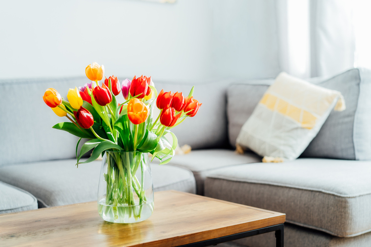 Sveži počeci: evo zanimljivih načina da ovog proleća osvežite svoj kućni dekor!