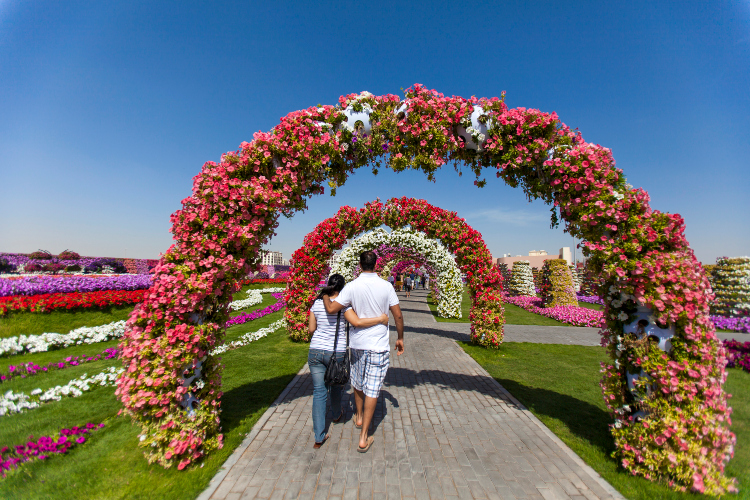 dubai-miracle-garden-najveca-basta-u-pustinji.jpg