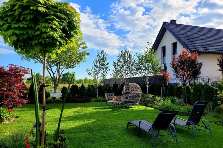 Pogled na veliki i dobro dizajniran travnjak koji predstavlja ključni element dizajna dvorišta