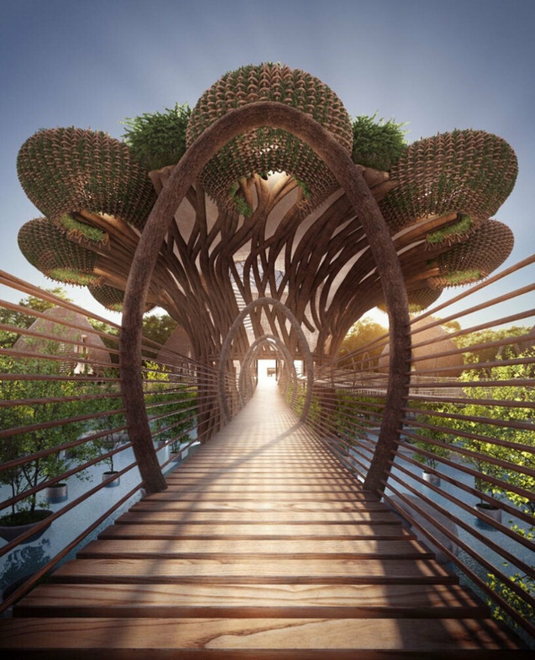 Life Tree Resort odmaralište u Meksiku dizajnirano je s ciljem da koegzistira sa prirodom