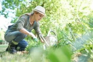 Prirodne metode za kontrolu rasta korova u bašti