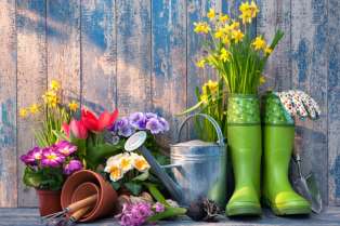 5 saveta za bolju prolećnu cvetnu baštu