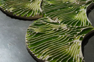 Jedinstvene pločice sa živim algama za prečišćavanje kišnice