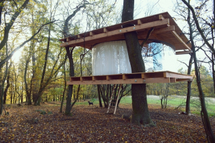 Gradnja koja poštuje prirodu: neverovatna kućica na drvetu oduševljava svojim jedinstvenim dizajnom