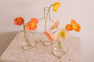 Lemilica, sunđer i par metalnih prstenova: sve što je potrebno za izradu predivne vaze