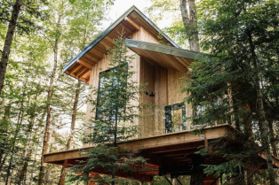 Prelepa kuća na drvetu savršeno kombinuje prirodnu lepotu, udobnost, luksuz i održivost