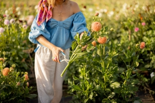 Peach Fuzz je boja godine, a evo kako je možete koristiti u bašti