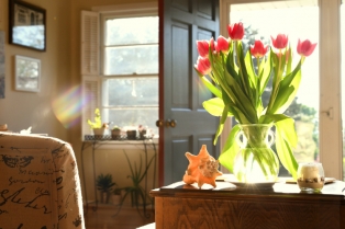 Najbolji dekorativni trikovi za sve koji žele da ugoste proleće u svom domu