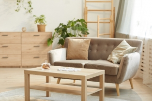 Kako koristiti element drveta za bolji feng šui doma?