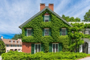 Očaravajuće zelene fasade: priroda kao deo arhitektonskog dizajna