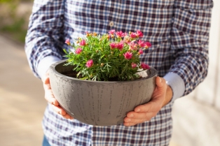 Napravite betonsku saksiju za cveće