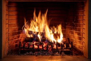 Zašto pepeo iz kamina ne treba bacati: „sivo zlato“ koje budi baštu iz zimskog sna