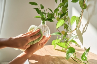 Čist dom, mirna savest: ultimativni vodič za eco-friendly čišćenje